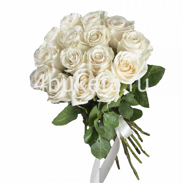 Букет 69 - Роза Эквадор белая 15шт (Стандарт) - Работает доставка цветов Железногорск