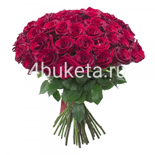 Букет 6 - Роза Эквадор 51шт (Люкс) - Работает доставка цветов Железногорск